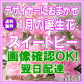 1月の誕生花★デザイナーにおまかせフラワー30,000円【送料無料】【フラワーアレンジ・花束】ネット特価！！