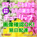 2月の誕生花★デザイナーにおまかせフラワー30,000円【送料無料】【商品画像閲覧ＯＫ！】【チューリップ】【フラワーアレンジ・花束】