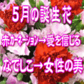 5月の誕生花　3,000円-デザイナーにおまかせ！