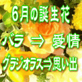 6月の誕生花　3,000円-デザイナーにおまかせ！