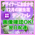 12月の誕生花★デザイナーにおまかせ30,000円【送料無料】【デンファレ】【フラワーアレンジ・花束】ネット特価！