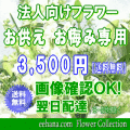 法人向けフラワー★お供え・お悔やみに贈る花★デザイナーにおまかせ3,500円【送料無料】【法事 お供え お盆 お彼岸 アレンジ 花束】