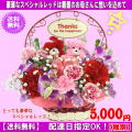 売れてます！2020★母の日★スペシャルレッドアレンジ5,500円【送料無料】【プードルピックペア2匹付き】ネット特価！