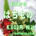 おまかせ鉢物★はちもの・花鉢・グループプランツ6,000円-【お祝い・お供え・ビジネス】ネット特価！