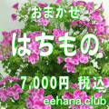 おまかせ鉢物★はちもの・花鉢・グループプランツ7,000円-【お祝い・お供え・ビジネス】ネット特価！