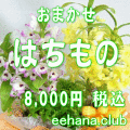 おまかせ鉢物★はちもの・花鉢・グループプランツ8,000円-【お祝い・お供え・ビジネス】