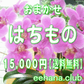 おまかせ鉢物★はちもの・花鉢・グループプランツ15,000円【送料無料】【お祝い・お供え・ビジネス】ネット特価！