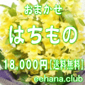 おまかせ鉢物★はちもの・花鉢・グループプランツ18,000円【送料無料】【お祝い・お供え・ビジネス】ネット特価！