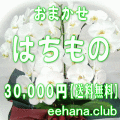 おまかせ鉢物★はちもの・花鉢・グループプランツ30,000円【送料無料】【お祝い・お供え・ビジネス】ネット特価！