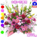 お祝い花専用フラワー7,000円【送料無料】【画像閲覧OK！】【カード付】開店・退職・結婚祝い・新築・出産 フラワー即日発送