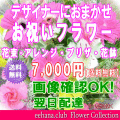 お祝い花専用フラワー7,000円【送料無料】【画像閲覧OK！】【カード付】開店・退職・結婚祝い・新築・出産 フラワー即日発送