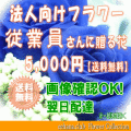 法人向けフラワー