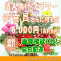 法人向けフラワー