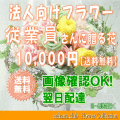 法人向けフラワー