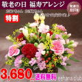 敬老の日★福寿アレンジ3,680円【送料無料】ネット特価！
