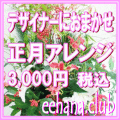 正月・迎春アレンジ★とってもお得★デザイナーにおまかせ♪3,000円-ネット特価！！
