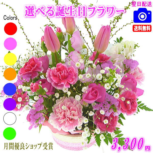 大人気！誕生日専用フラワー3,300円【送料無料】【画像閲覧OK！】【カード付】【フラワー お誕生日 花 プレゼント 即日発送