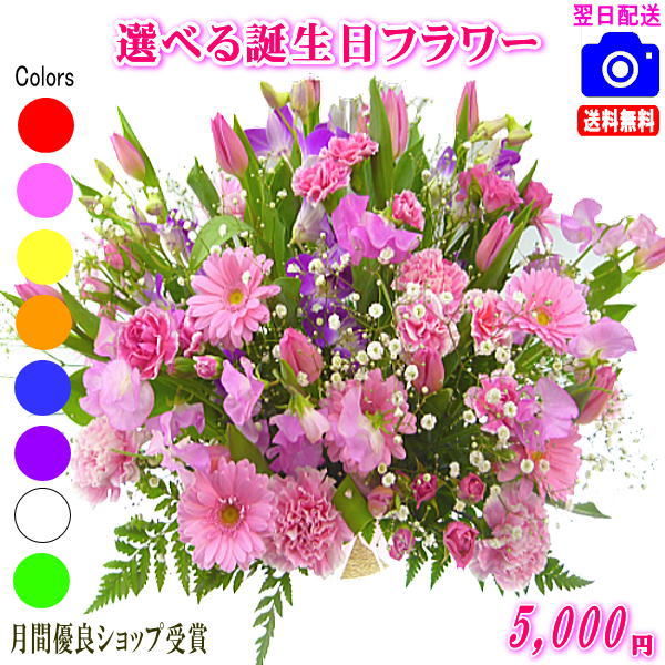 大人気！誕生日専用フラワー5,000円【送料無料】【画像閲覧OK！】【カード付】【フラワー お誕生日 花 プレゼント 即日発送