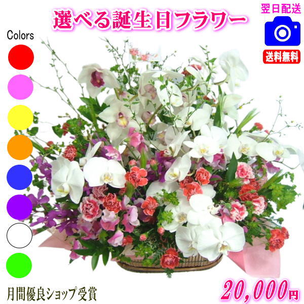 大人気！誕生日専用フラワー20,000円【送料無料】【画像閲覧OK！】【カード付】【フラワー お誕生日 花 プレゼント 即日発送