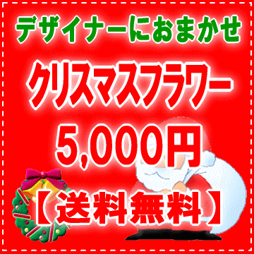 デザイナーにおまかせ★X'masフラワー5,000円【送料無料】ネット特価！！