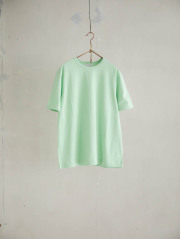 the hinoki