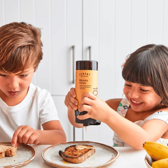 エグモントハニー パステルラベル マヌカハニー MGO100+ 480g