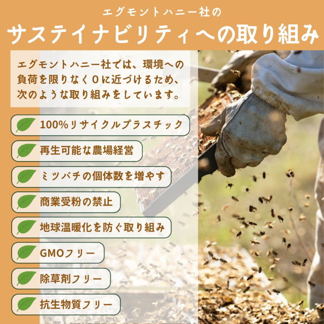 サステイナビリティ