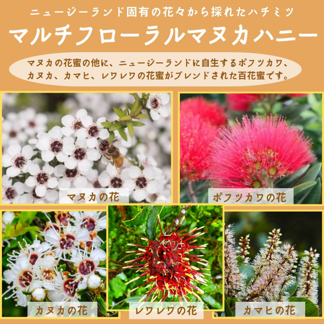 マルチフローラルマヌカハニー