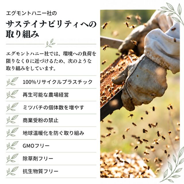 サステイナビリティ