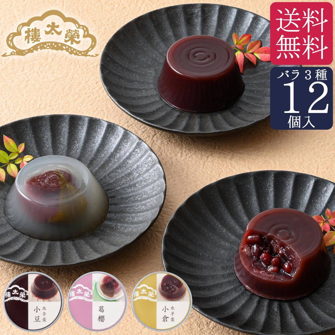 【季節限定】【ご自宅用】榮太樓 缶入り水羊羹 単品（バラ）12個入（小豆・小倉・葛櫻各4個）【送料無料】