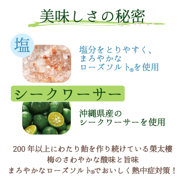 榮太樓 酸ぃ～くわーさー塩飴 100g入 約22粒