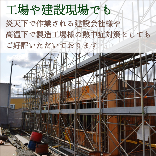 販売終了】榮太樓 酸ぃ～くわーさー塩飴 100g入 約22粒