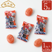 【販売季節外】【ポイント5倍】榮太樓 梅ぇ 塩飴 1kg入 約220粒