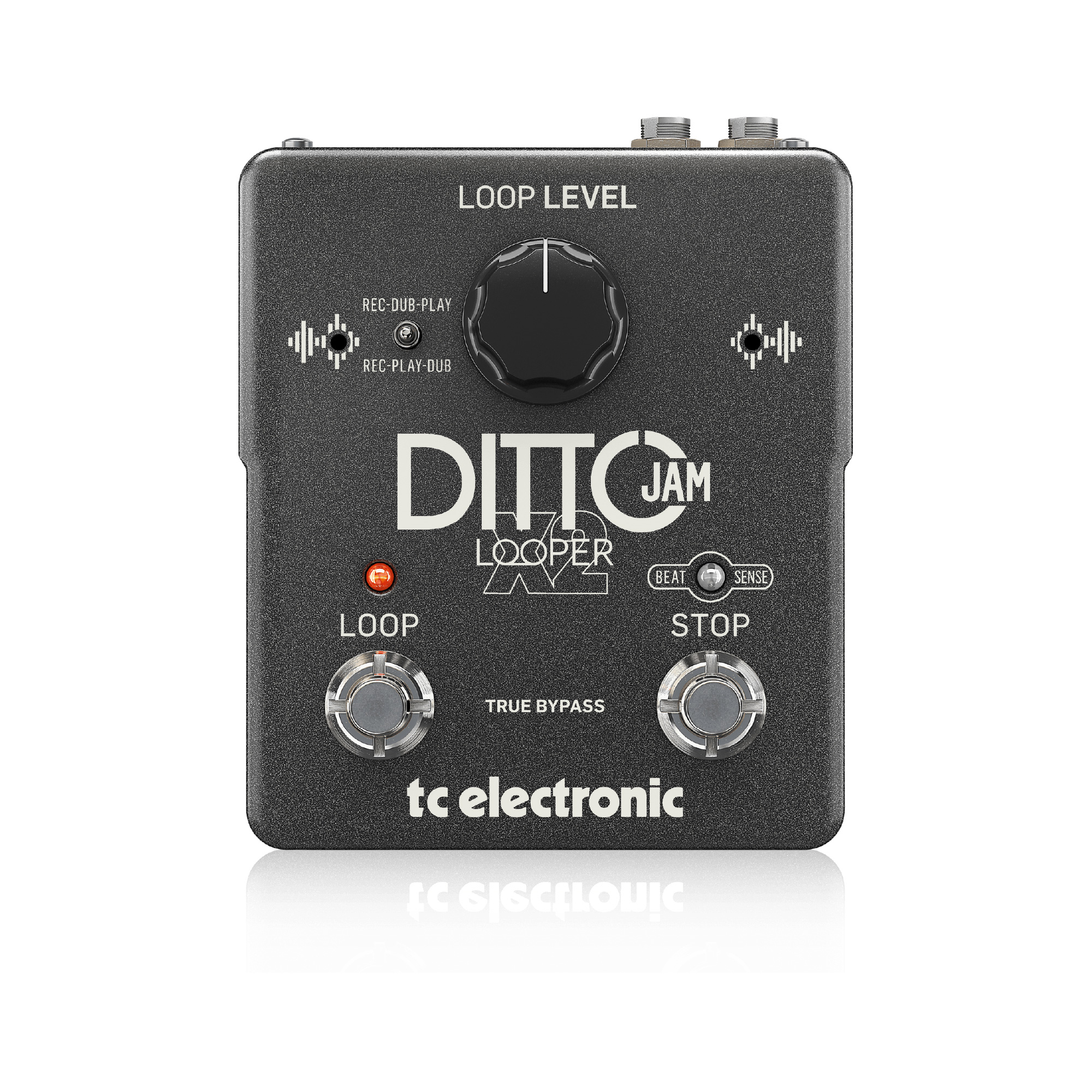 TC Electronic | DITTO JAM X2 LOOPER エレクトリ オンラインストア