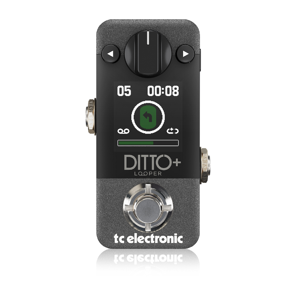 TC Electronic | DITTO+ LOOPER