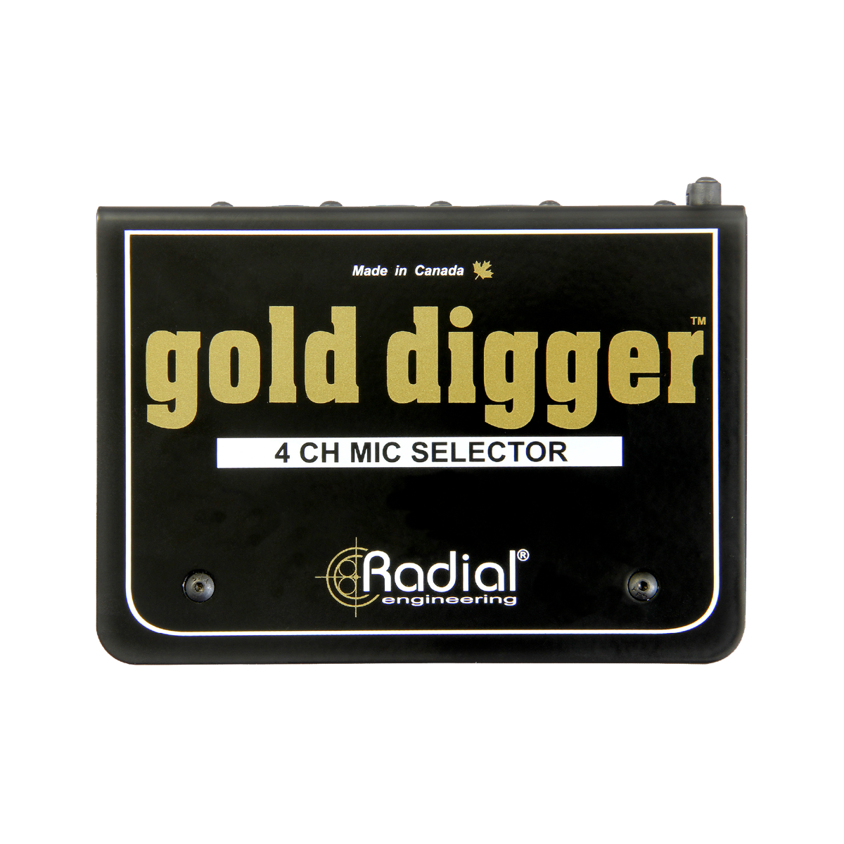 Radial | Gold Digger