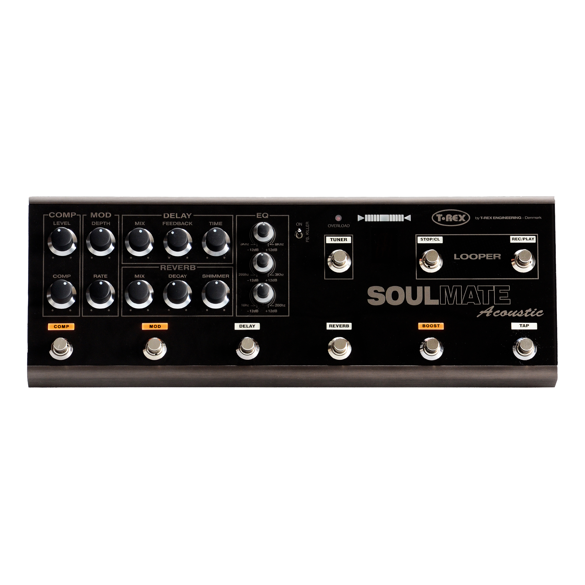 T-REX | SoulMate Acoustic