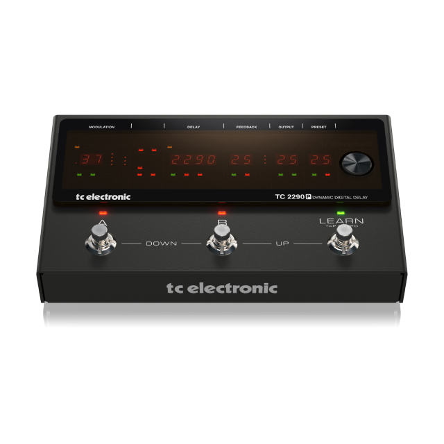 TC Electronic 2290 P DYNAMIC DIGITAL DELAY エレクトリ