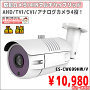 CW699-top.jpg