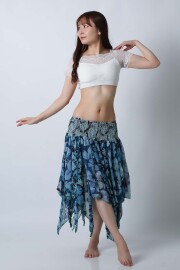ベリーダンス　ジプシー　ダイヤモンド　トップス　トライバル　上下セット　レース Amazon.co.jp: BellyLady ベリー ダンス 25ヤード トライバル