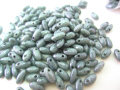 Rizoビーズ 2.5x6mm グリーンラスター　 約22g/ケース