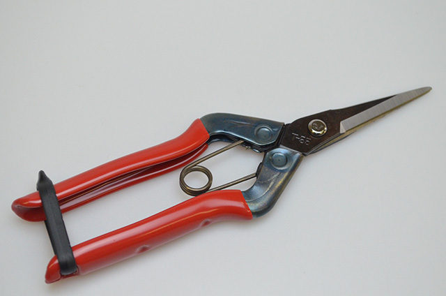 【近正】芽切鋏　185mm　T-550
