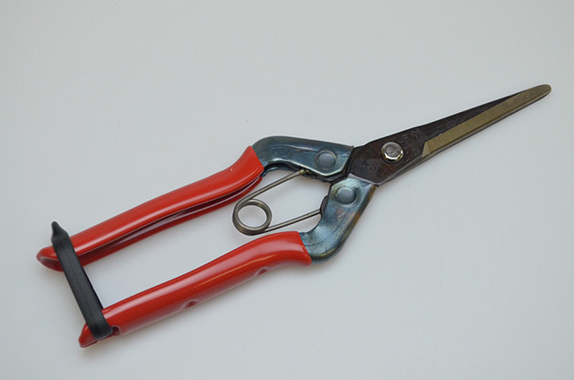 【近正】芽切鋏ロング　195mm　T-570