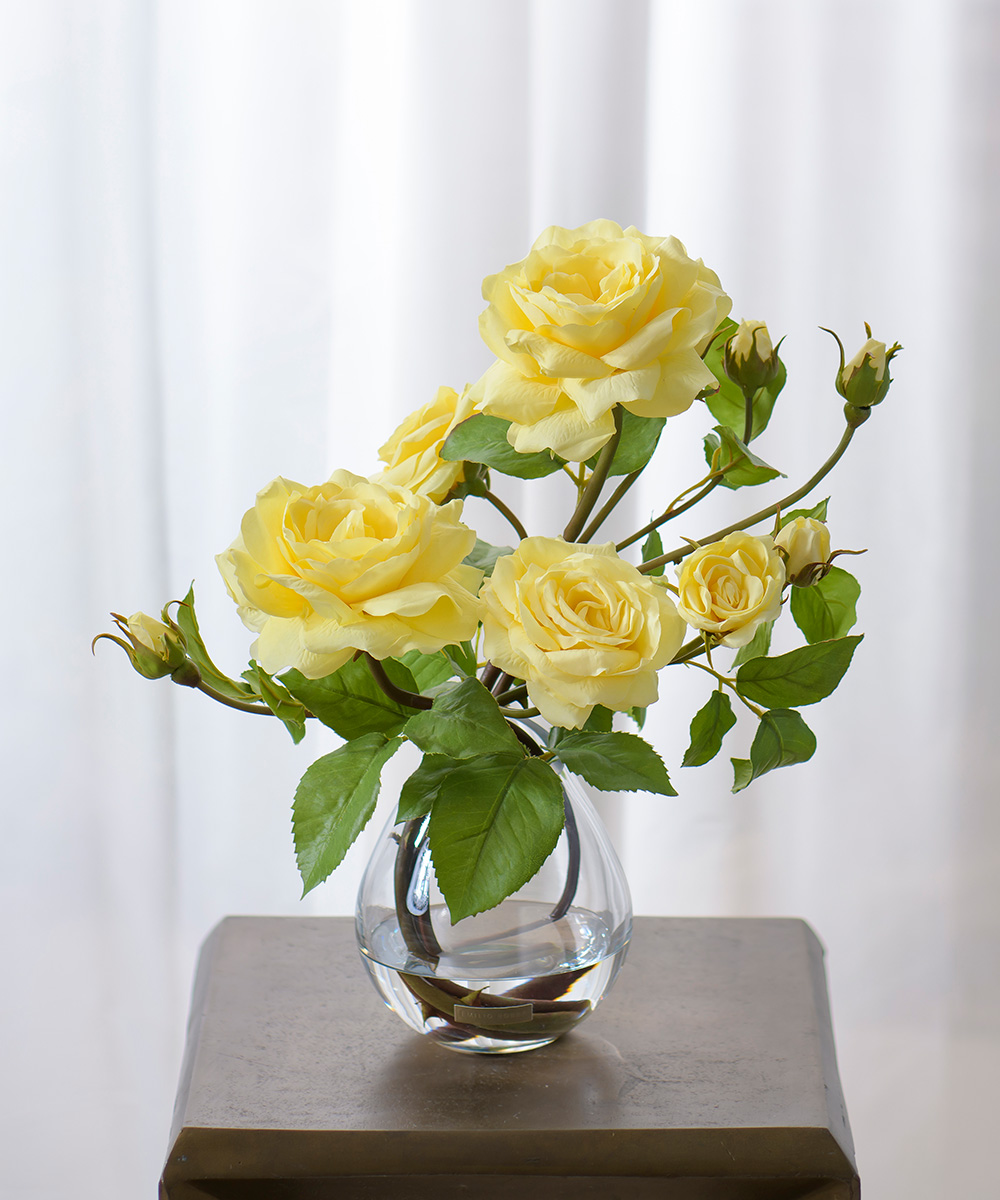 プリマローズye-L