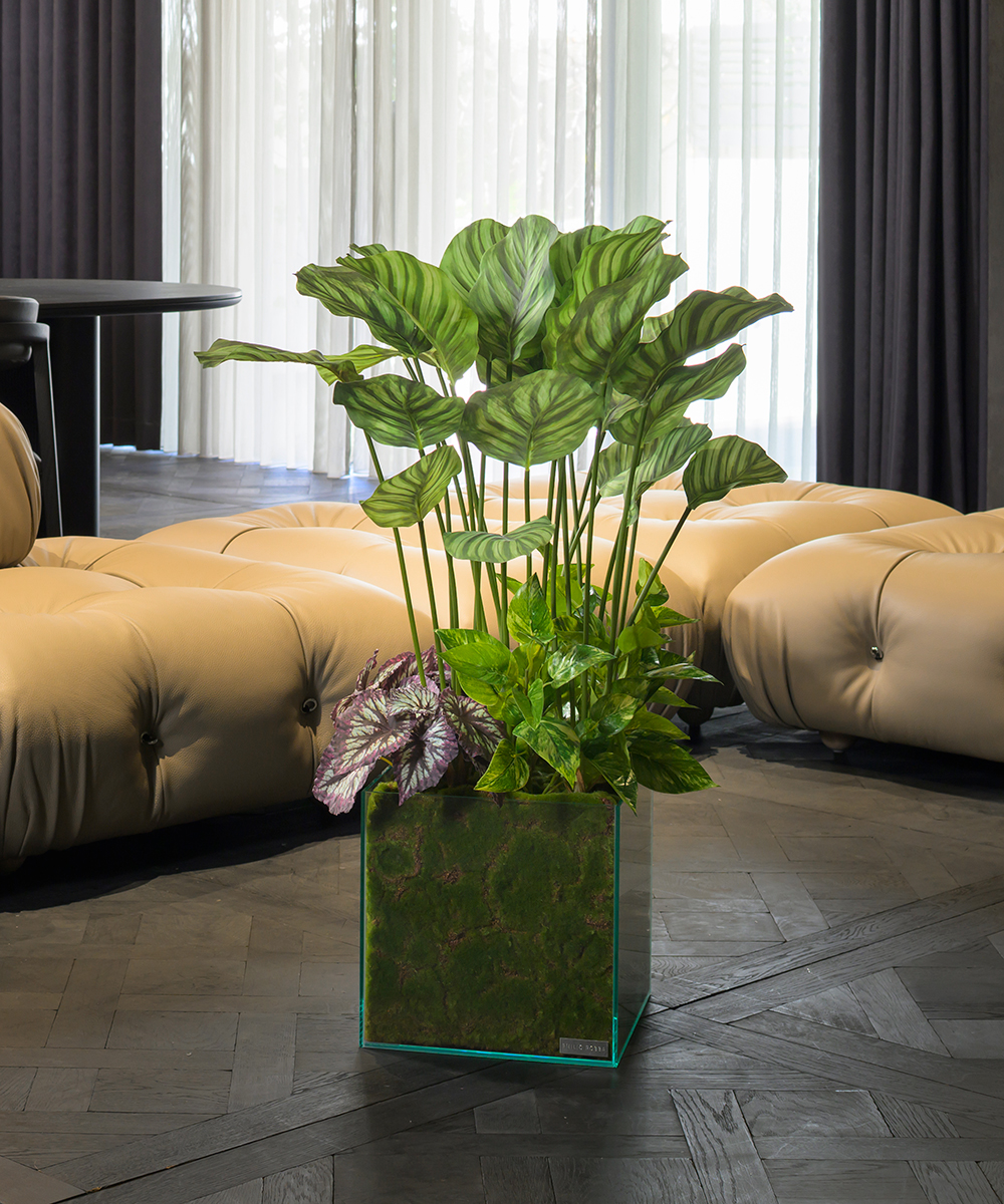 ギャザリング・カラテア