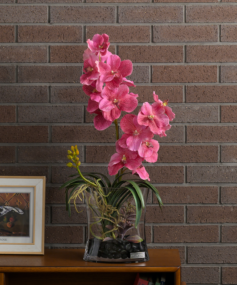 バンダボタニック2L25pk