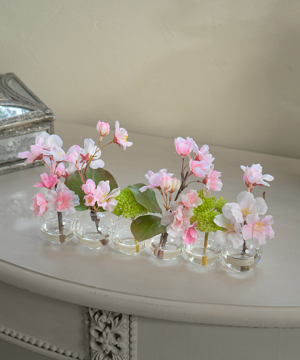 【先行予約】サクラ6W26