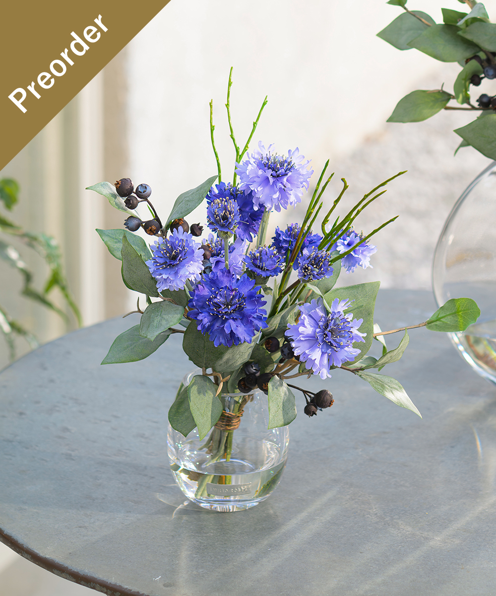 【先行予約】コーンフラワーM26