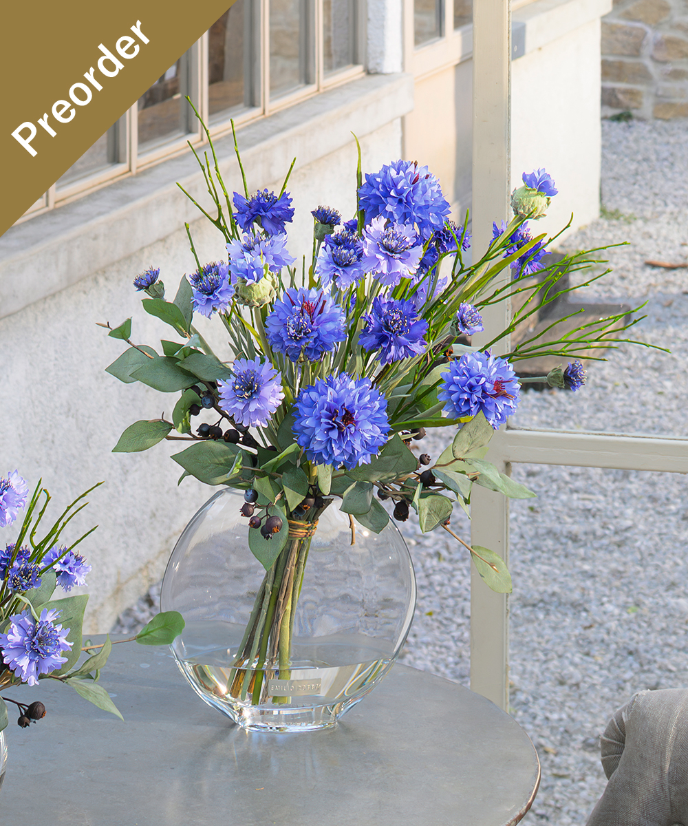 【先行予約】コーンフラワー2L26