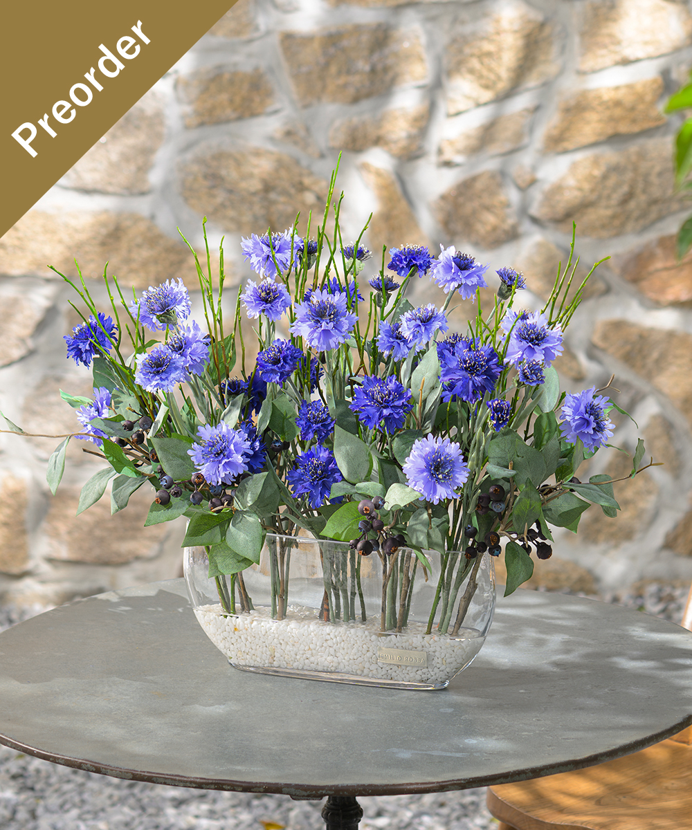 【先行予約】コーンフラワー3L26